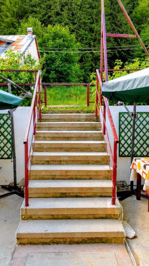 Willa Casa Miorita Cumpăna Zewnętrze zdjęcie